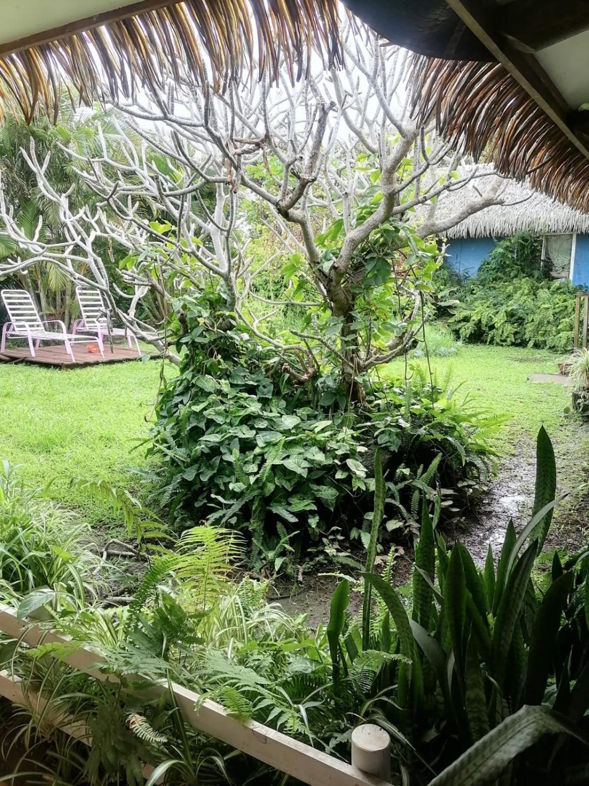 Hare Henua Bed & Breakfast Hanga Roa Exterior photo